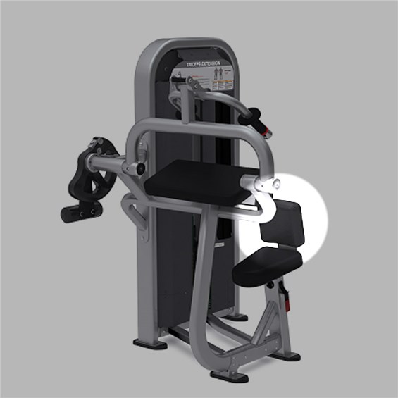 NAS5302TricepsExtensionbackpad