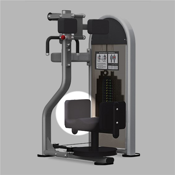 NLS6300RotaryTorsoThigh