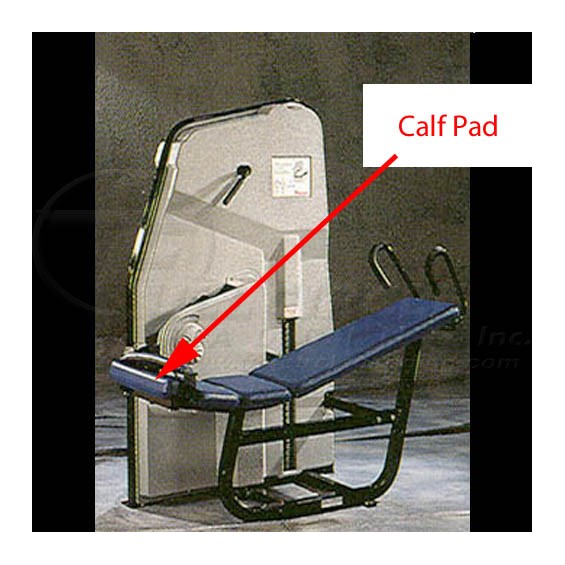 NextGenLowerAbdominalCalf