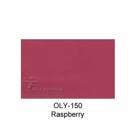 OLY150Raspberry