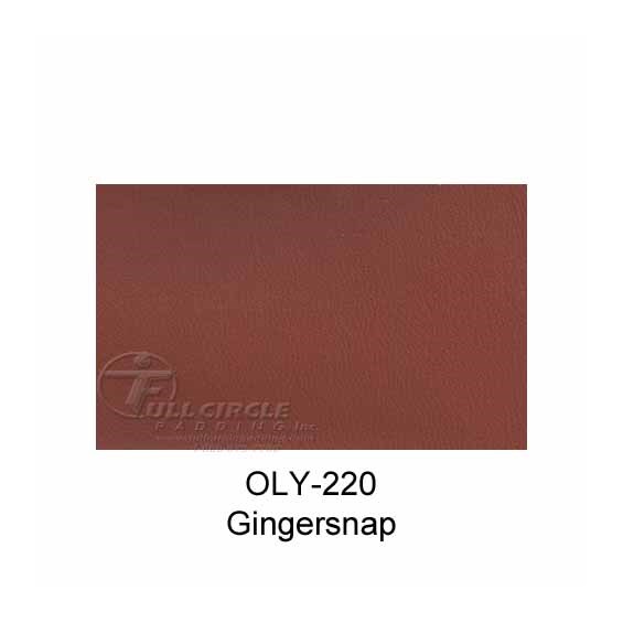 OLY220Gingersnap