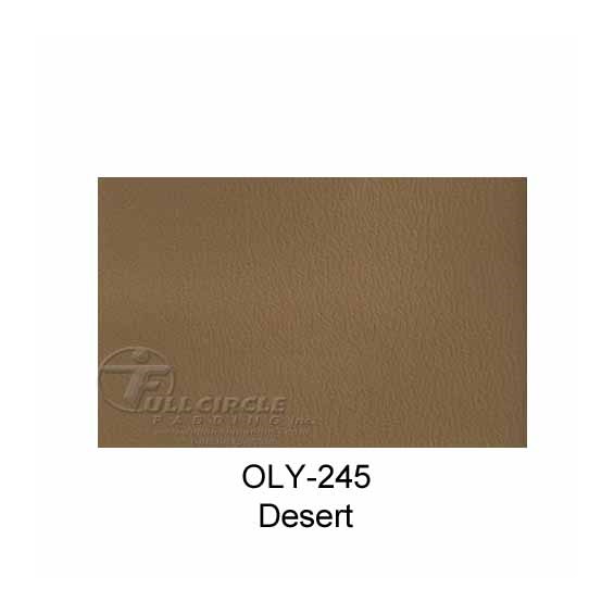 OLY245Desert