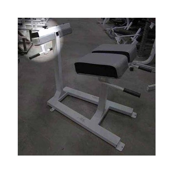 OldBMBackExtensionAnkle