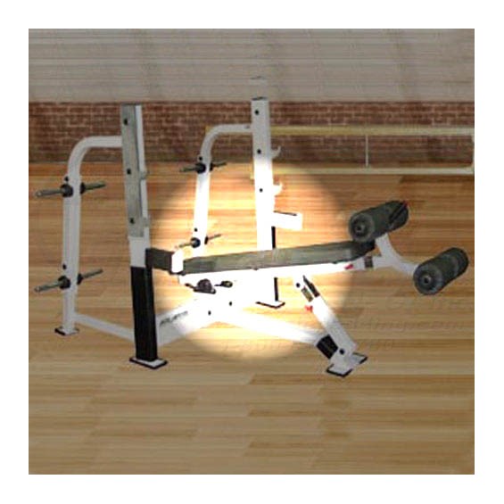 P239OlympicFlatDeclineBenchBack