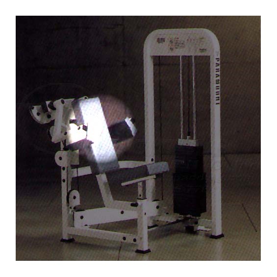PL3400DeltoidBack