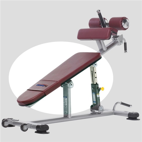 Back Pad Full Circle Padding