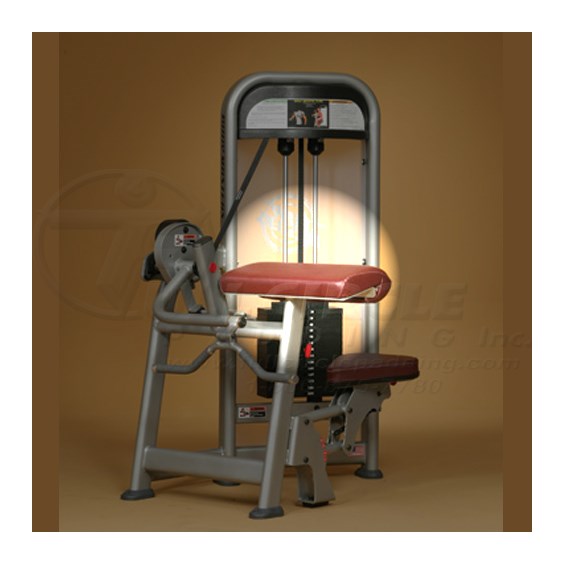 PR1902BicepCurlElbow