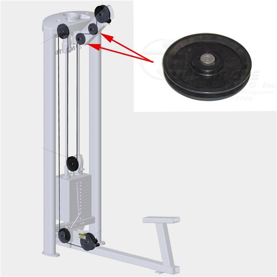 S8BC-TE-Bicep-Curl-Tricep-Extension-NA639