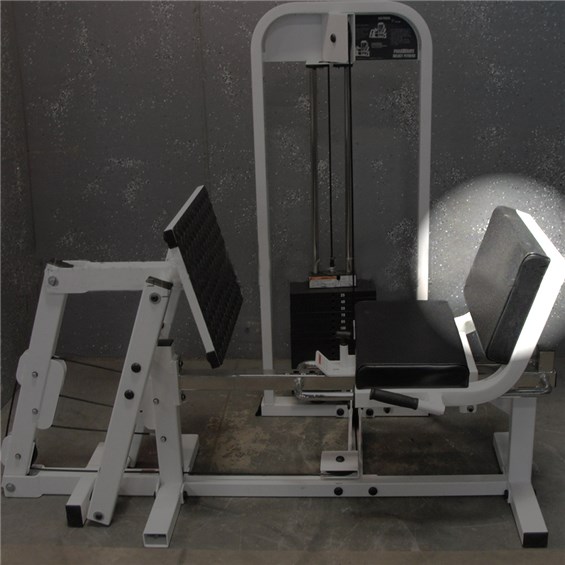 SF300LegPress1000Back