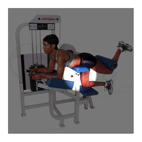 SL75GluteChest