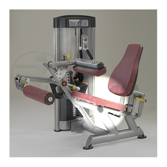 SP5100SeatedLegCurlSeat