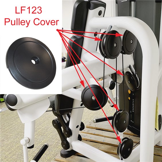 SSBC-Bicep-Curl-LF123-2