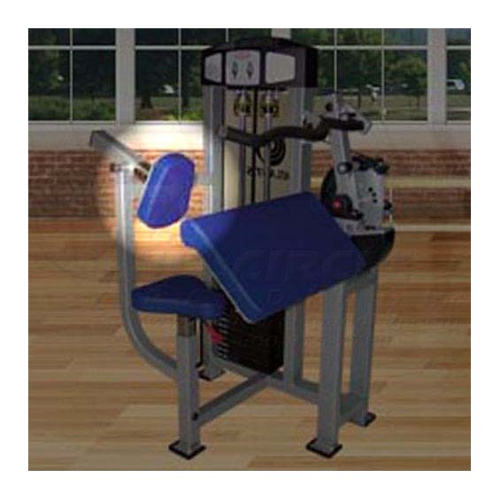 T164TricepExtensionX500Back