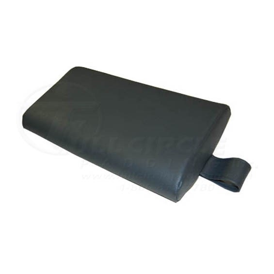 TECH030Pillow