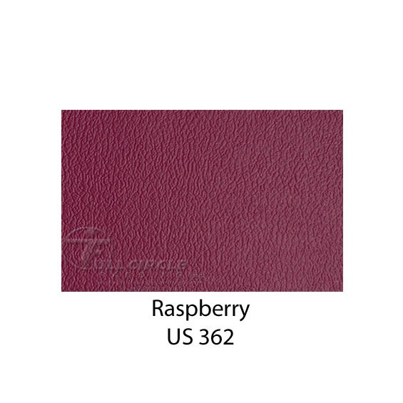 US362Raspberry