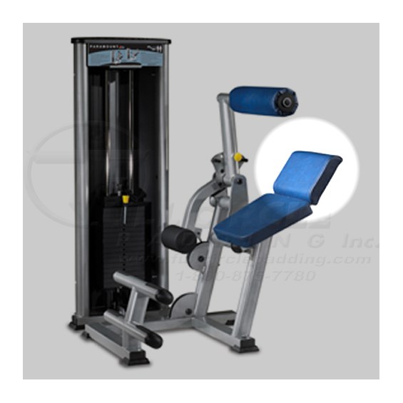 XL1300LowerBackBack