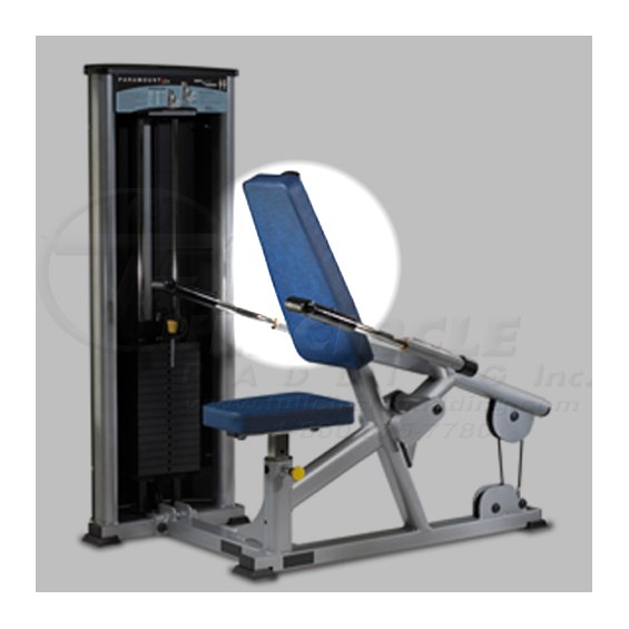 XL1500TricepPressdownBack