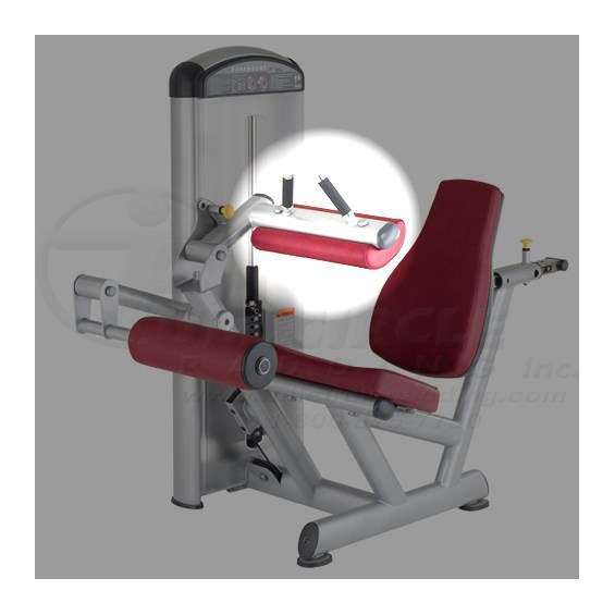 XL2200SeatedLegCurlThigh