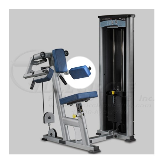 XL800LateralRaiseArm