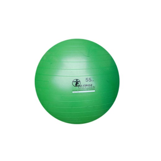 anti burst stability ball