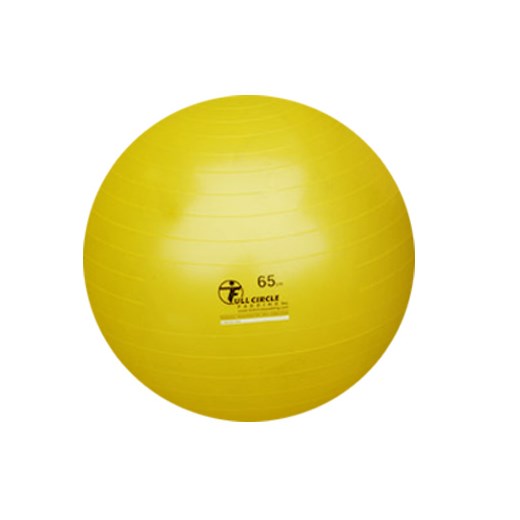 65 cm Anti-burst Stability Ball 0BALL65AB