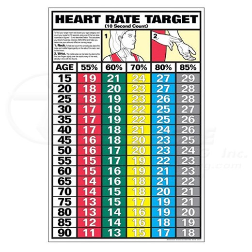 Heart Rate Chart