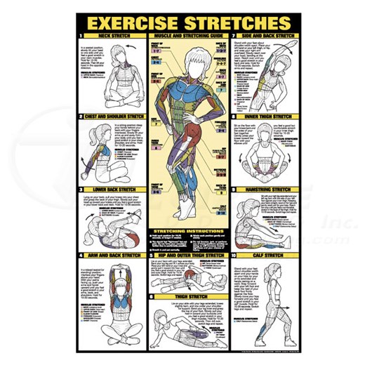 11 x 16 Chest Workout Fitness Chart