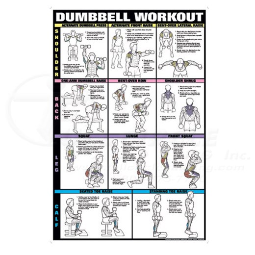 Dumbbell Exercise Chart
