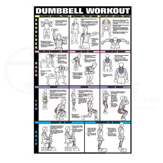 shoulder exercises chart