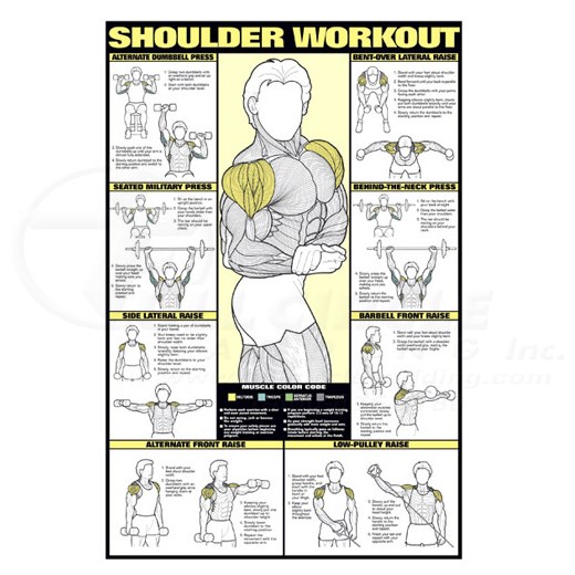 Shoulder Chart Workout