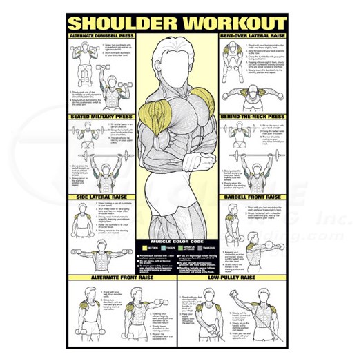 shoulder exercises chart