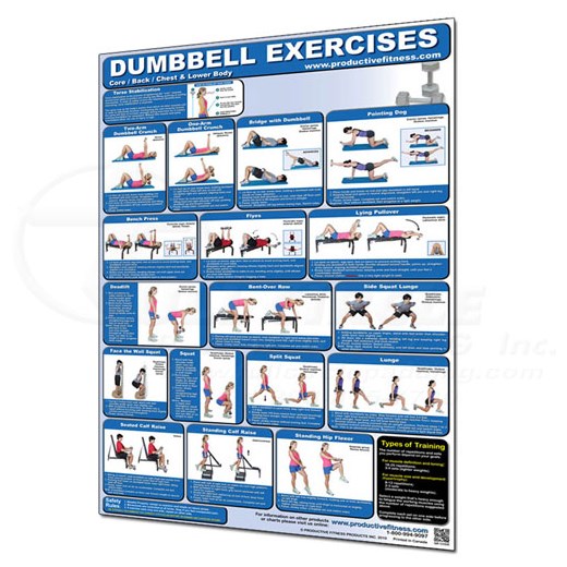 Lower Back Exercise Chart