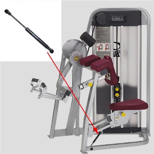 11070-Arm-Curl-CYWE102