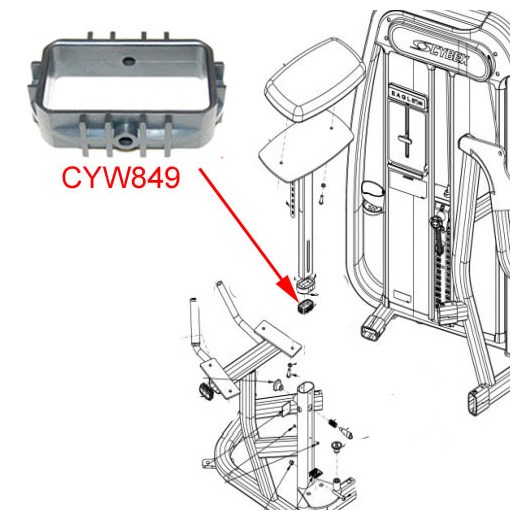 20170GluteCYW849