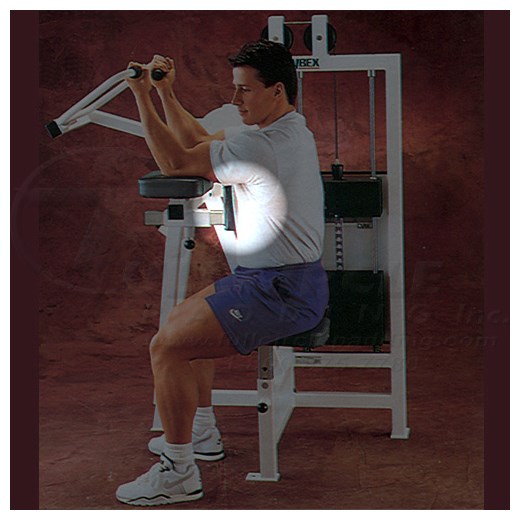 4040ArmCurlChest