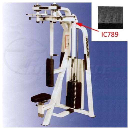 505icRearDeltPecFly789