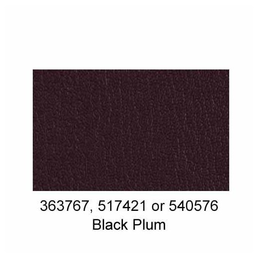 517421-Black-Plum-2025