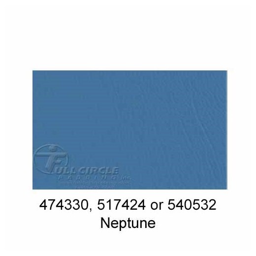 517424-Neptune-2024