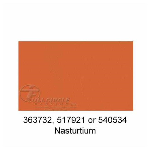 517921-Nasturtium-2024