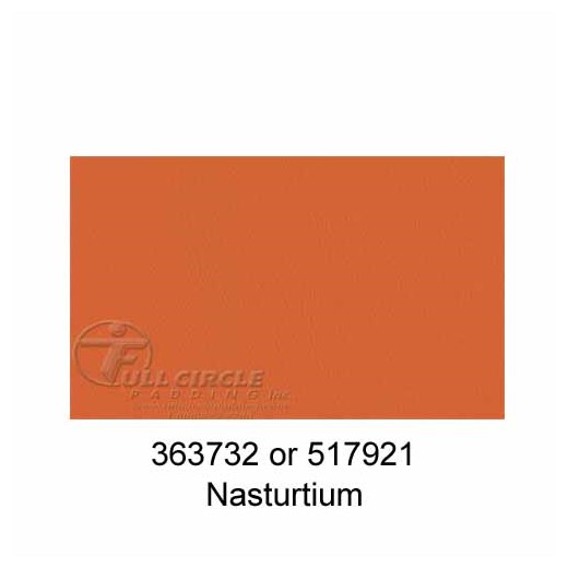517921Nasturtium