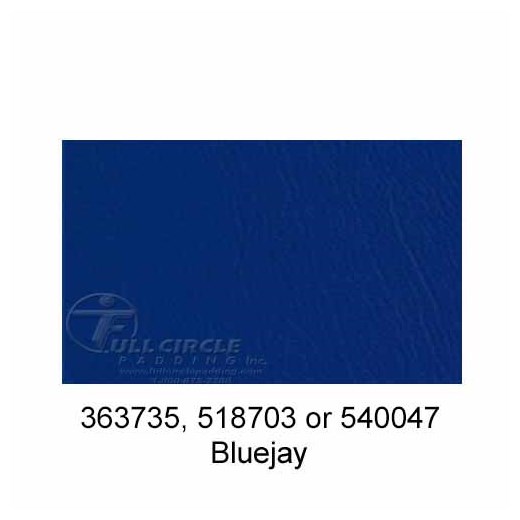 518703-Bluejay-2024