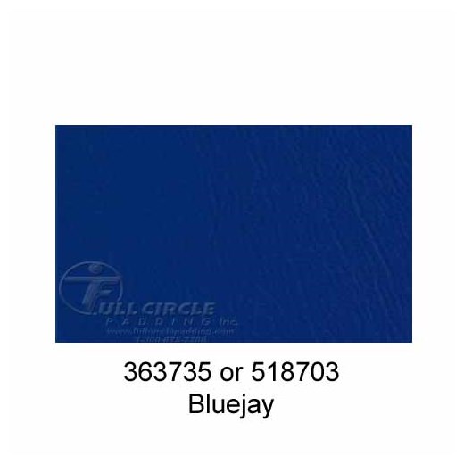 518703Bluejay
