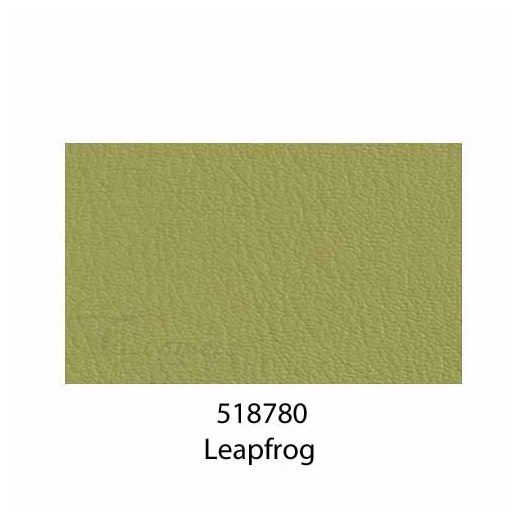 518780Leapfrog1