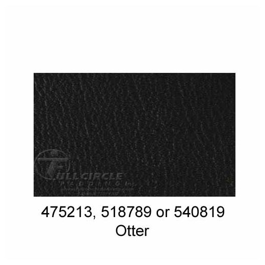518789-Otter-2024