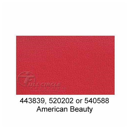 520202-American-Beauty-2024