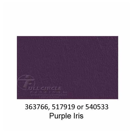 540533-Purple-Iris-2022
