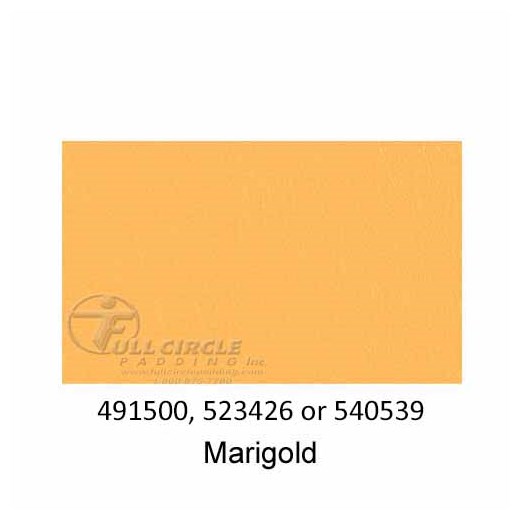 540539-Marigold-2022