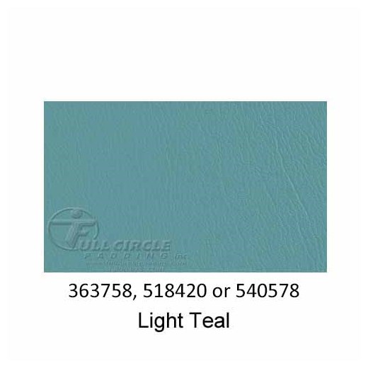 540578-Light-Teal-2022