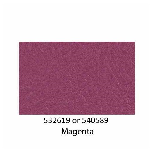 540589-Magenta-2022