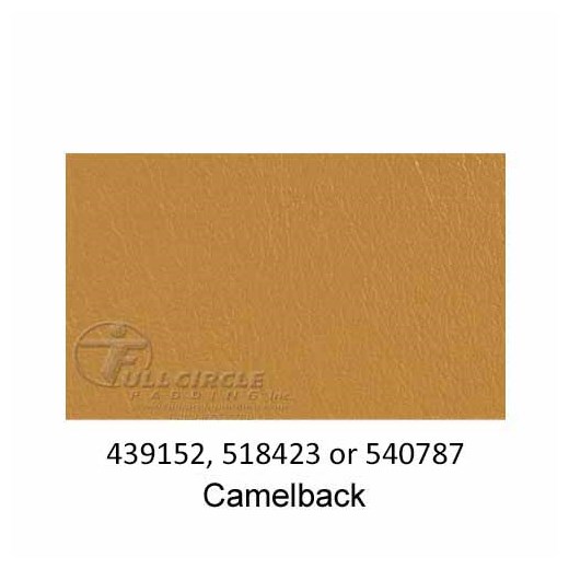 540787-Camelback-2022